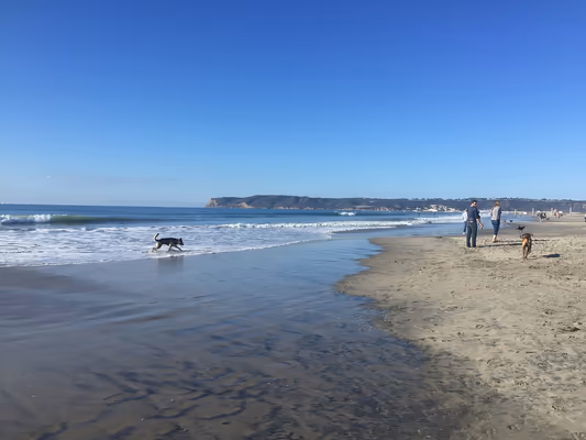 Coronado Dog Park